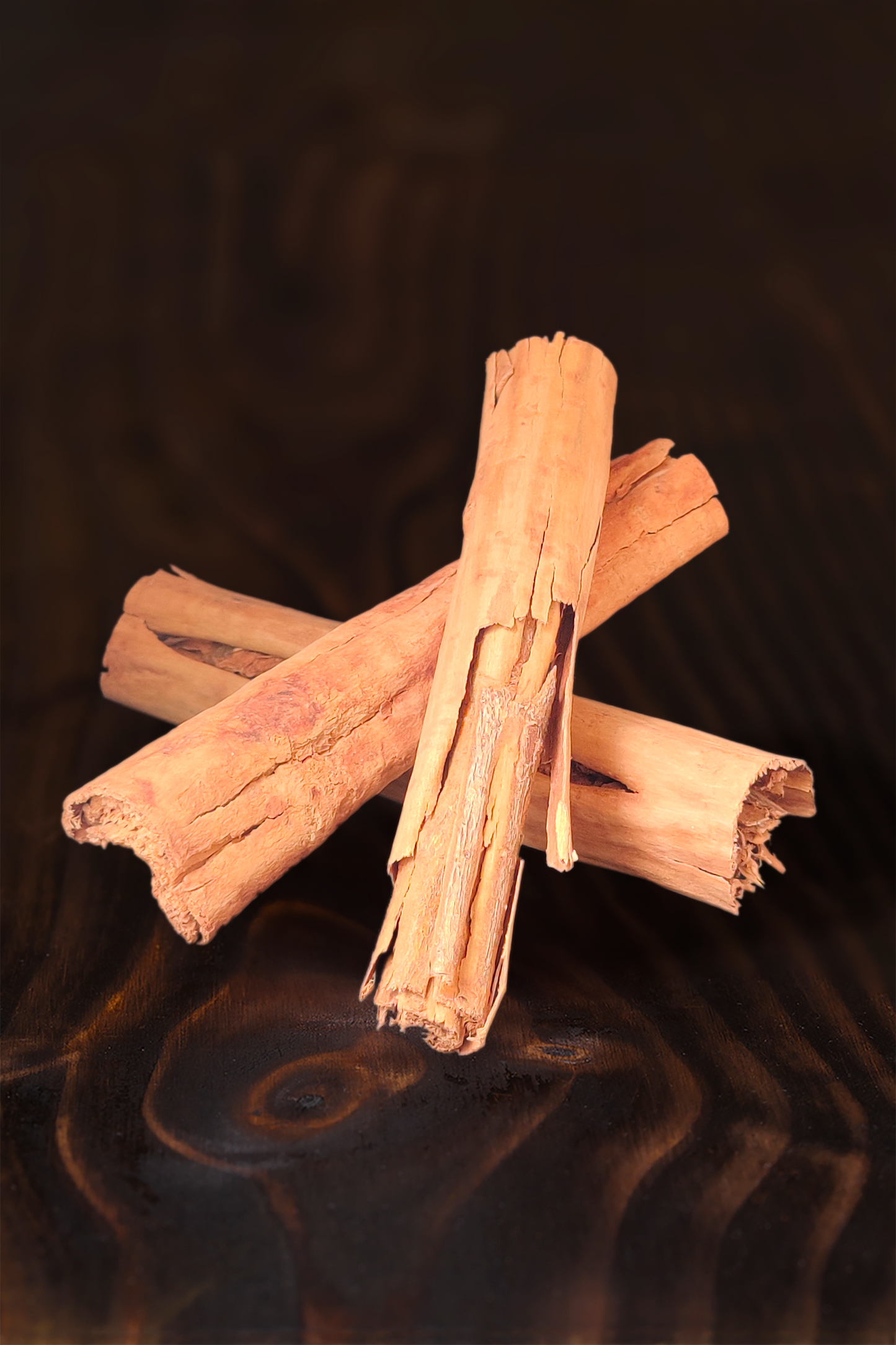 Cannelle Ceylan baton